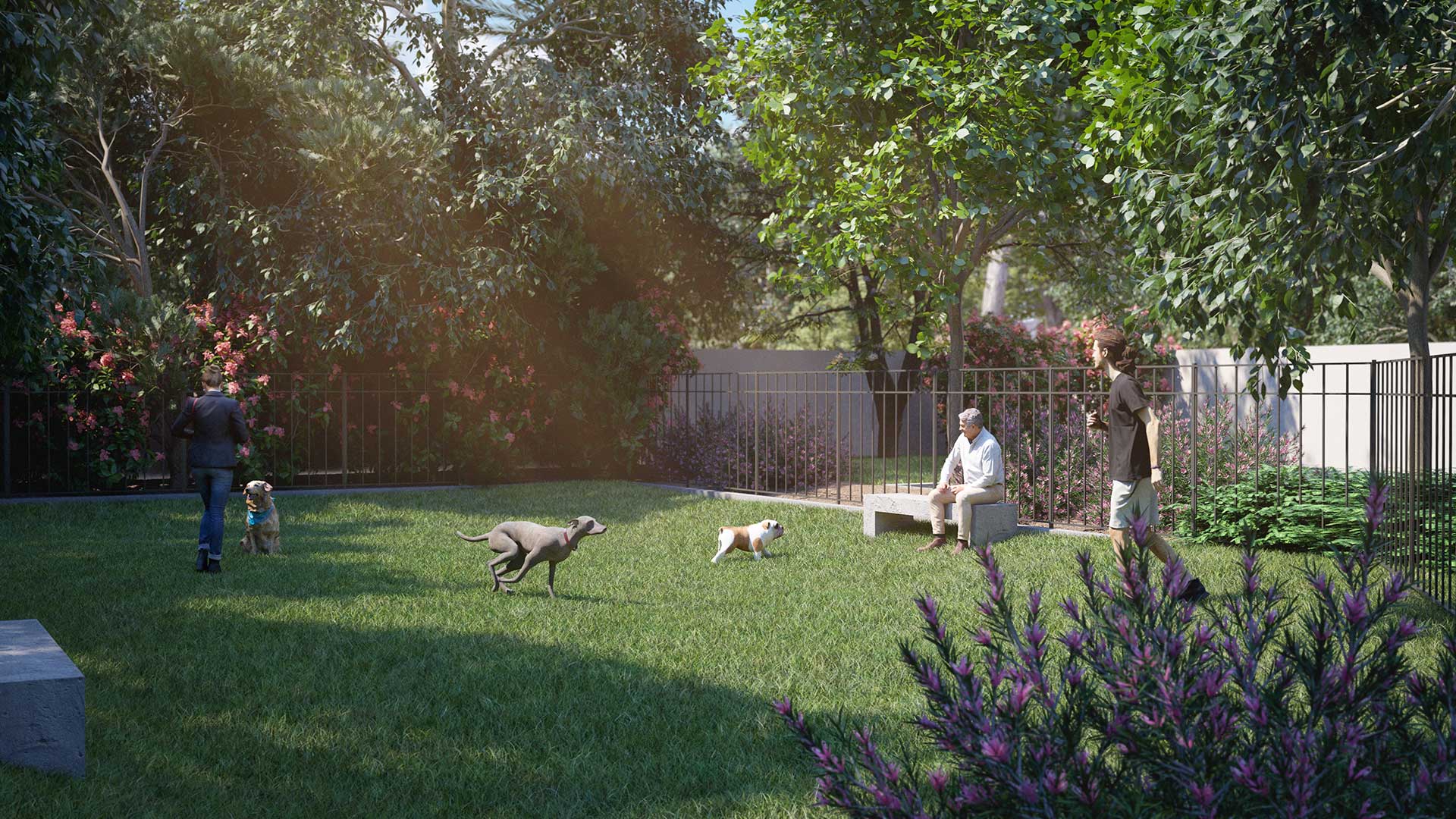 Casa Azul Community Pet Friendly