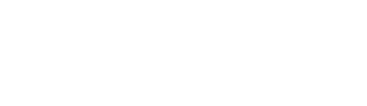 Robin Orscheln Luxury Group